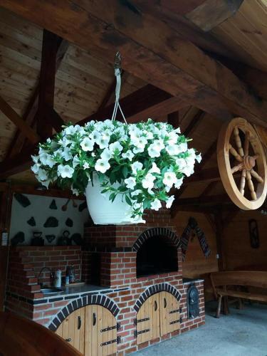 Hostal Casa Floare De Colt