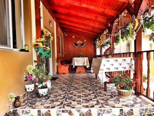 Hostal Casa Otilia