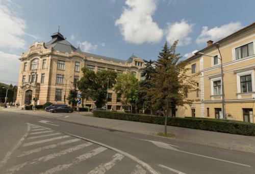 Cluj Lux Apartment Central