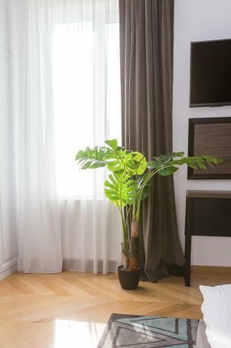 Cluj Lux Apartment Central