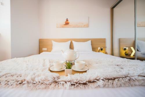 Zen Apartments Cluj