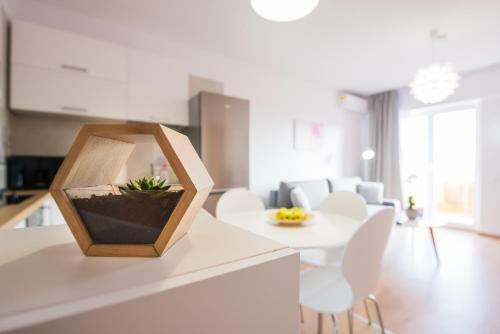 Zen Apartments Cluj