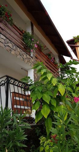 Hostal Pensiunea Dana