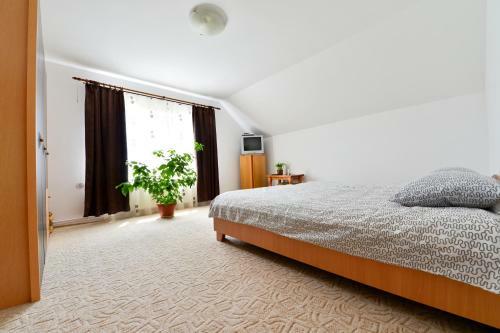 Hostal Casuta Noastra