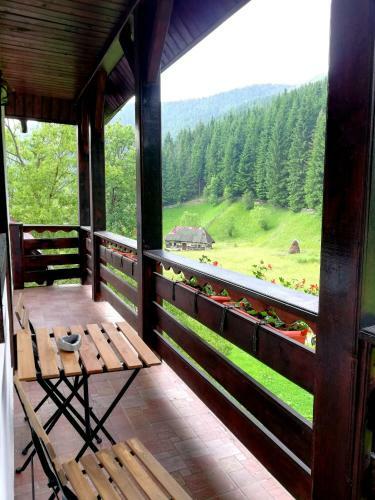 Hostal Casa Cu Flori
