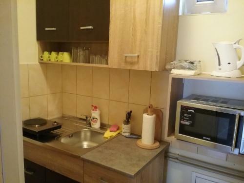 Hostal Pensiunea Rose