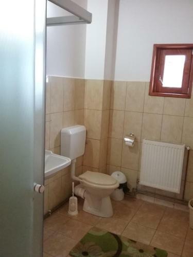 Hostal Pensiunea Rose