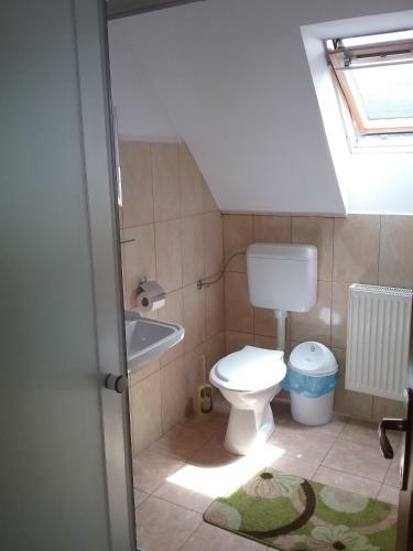 Hostal Pensiunea Rose
