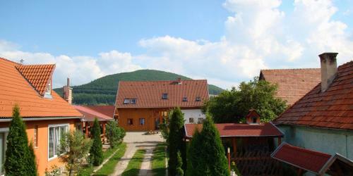 Hostal Pensiunea Rose
