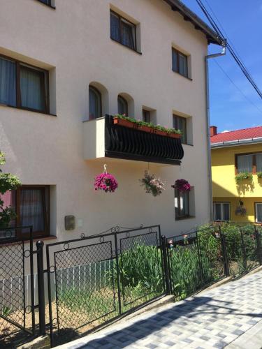 Hostal Pensiunea Alecsandra