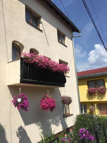 Hostal Pensiunea Alecsandra