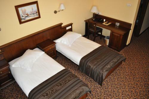 Hotel Leul De Aur