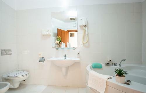 Hotel Dana 2