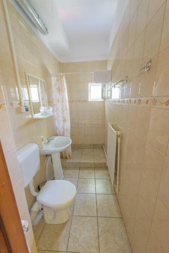Hostal Pensiunea Tranzit