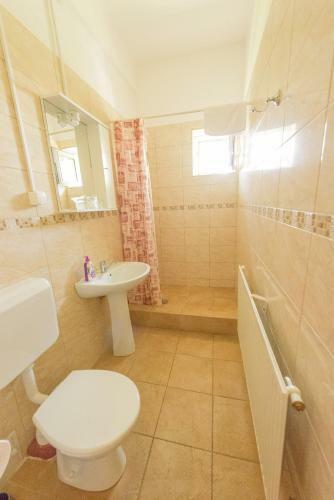 Hostal Pensiunea Tranzit