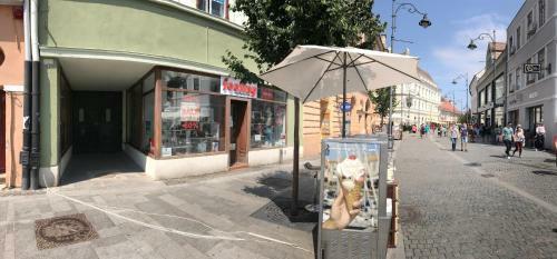 Apartamento Ultracentral Studio