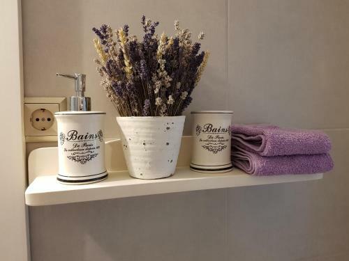 Apartamento Alfa Studio