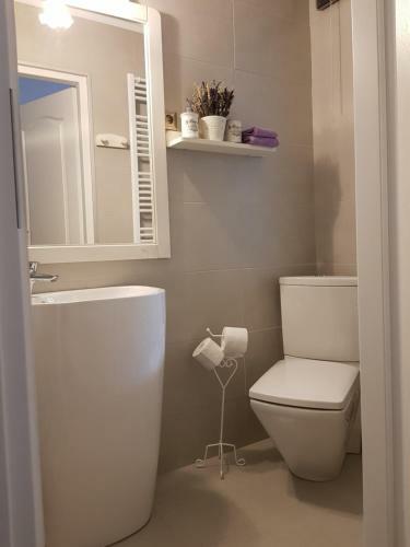 Apartamento Alfa Studio