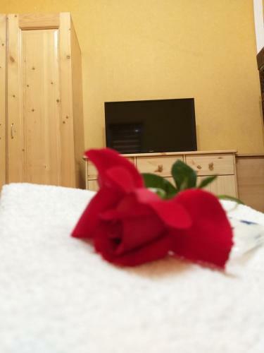 Hostal Hello Sibiu