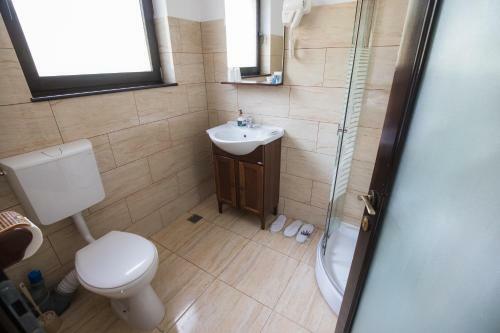 Hostal Casa Dacilor Transalpina