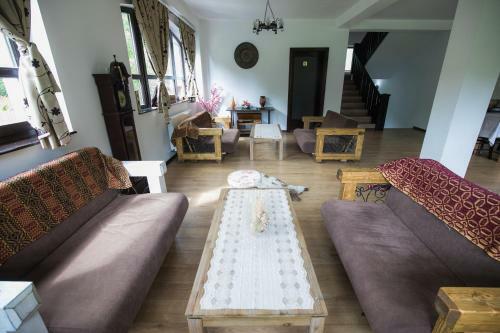 Hostal Casa Dacilor Transalpina