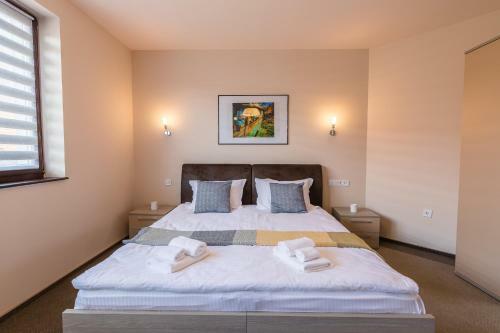 Hotel Pensiunea Select Central