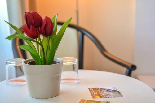 Hotel Sport B90