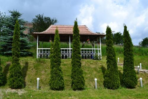 Casa Carpati