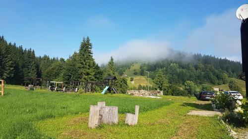 Agroturismo Pensiunea Maria-bucovina