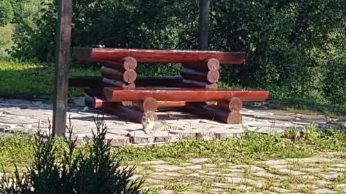 Agroturismo Pensiunea Maria-bucovina