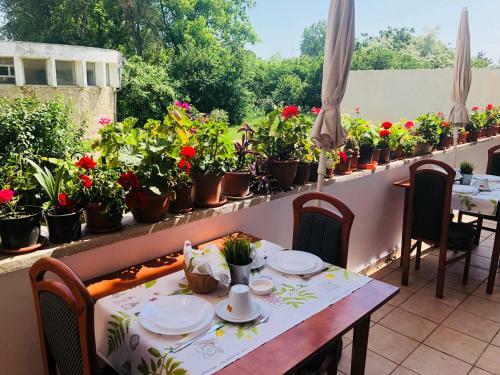 Hostal Timona Confort