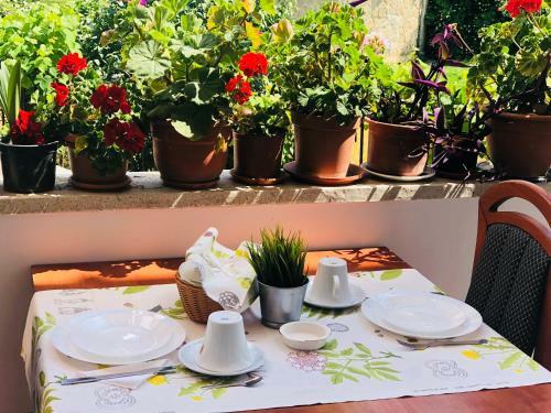 Hostal Timona Confort