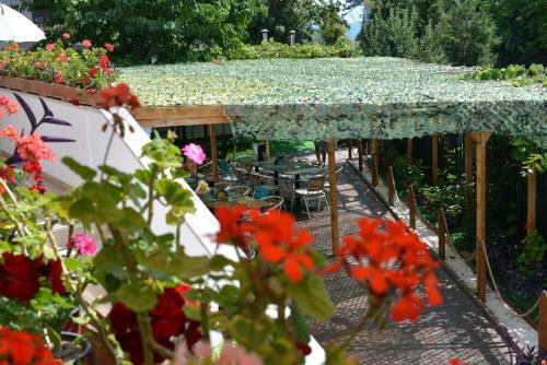 Hostal Timona Confort