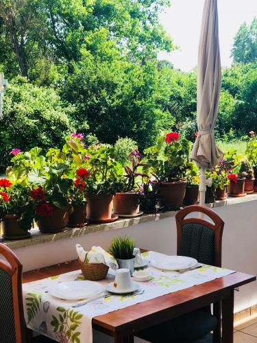 Hostal Timona Confort