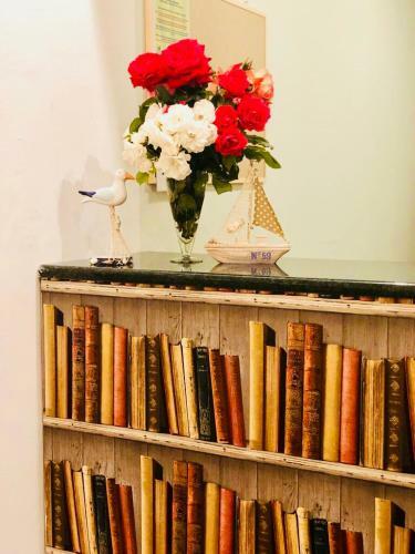 Hostal Timona Confort