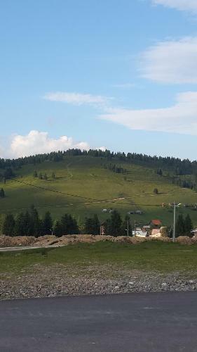 Cabana Izvorul Ariesului