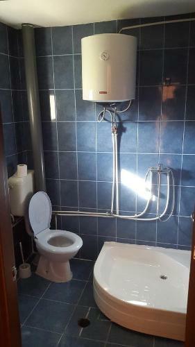 Cabana Izvorul Ariesului