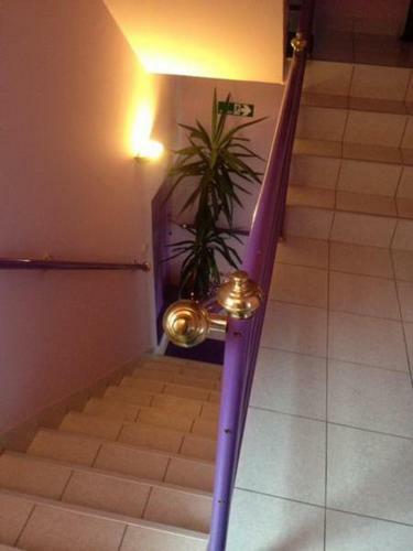 Hostal Guest House Vila Florida