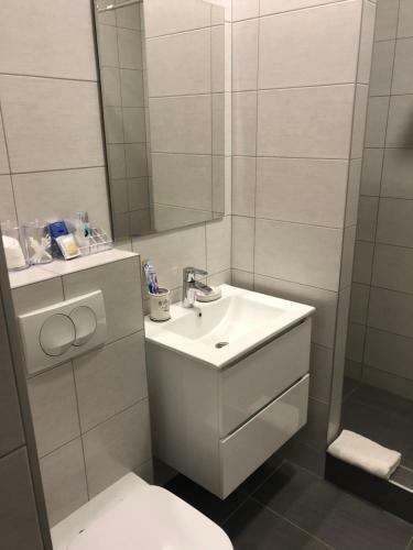 Apartamentos City Center Zrenjanin