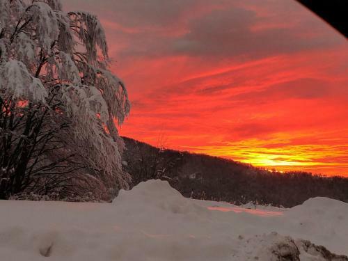 Lodge Zeleni Svet