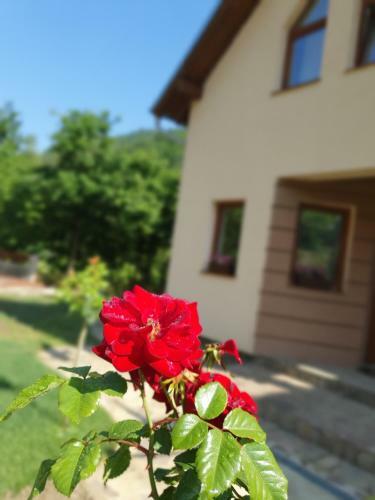 Lodge Zeleni Svet
