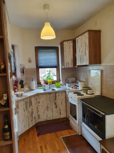 Lodge Zeleni Svet