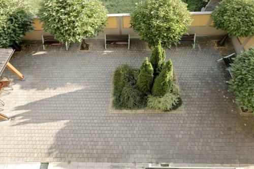 City Park Apartment