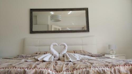 Apartment Center