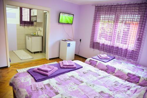 Hostal Preno?i?te Pilot