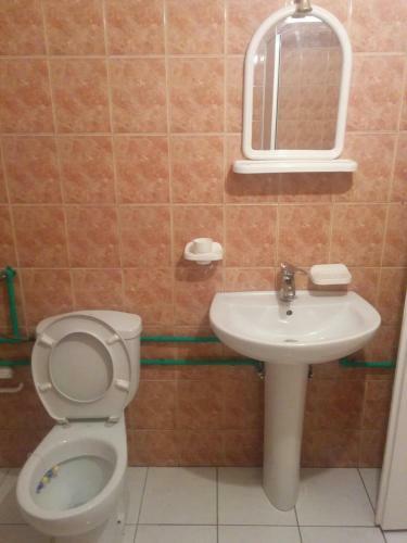 B&B Negotin