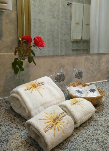 Hotel Estrela Da Idanha