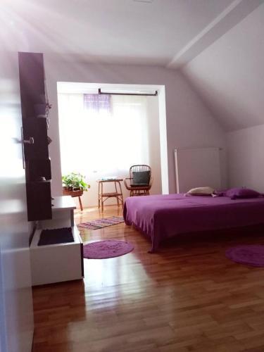 Apartamento Prvomajska 41
