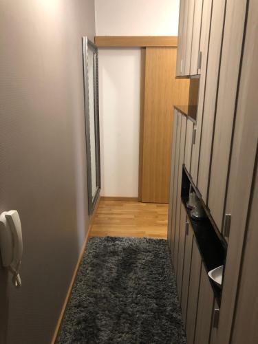 De Luxe 5 Stars Apartment (+ Free Garage Place)