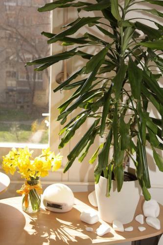 Apartment Spacious Liman
